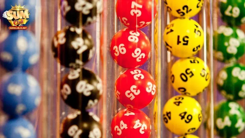 Bạch thủ lô mang đến hình thức dự đoán một con số duy nhất