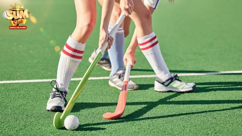 Cá độ Hockey là hình thức giải trí thu hút tại Sumclub