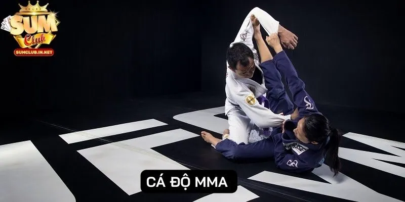 Cá độ MMA