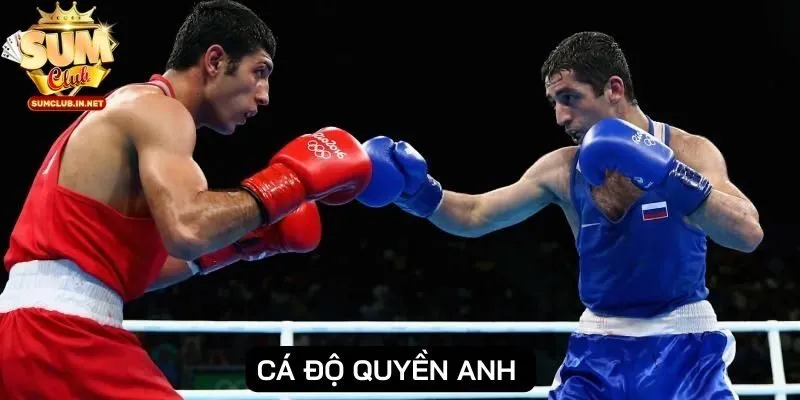 Cá độ quyền anh