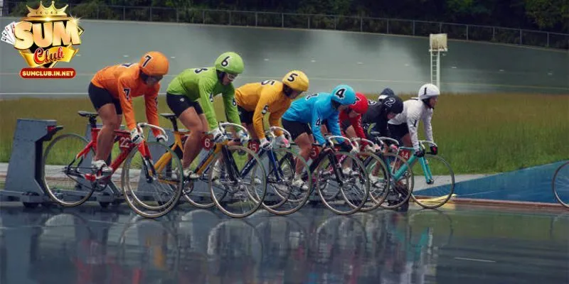 Cá độ xe đạp lòng chảo chinh phục đông đảo thành viên